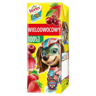 Hortex Leon i Przyjaciele Sok 100 % wieloowocowy 200 ml