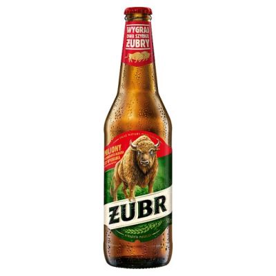 Żubr Piwo jasne 500 ml